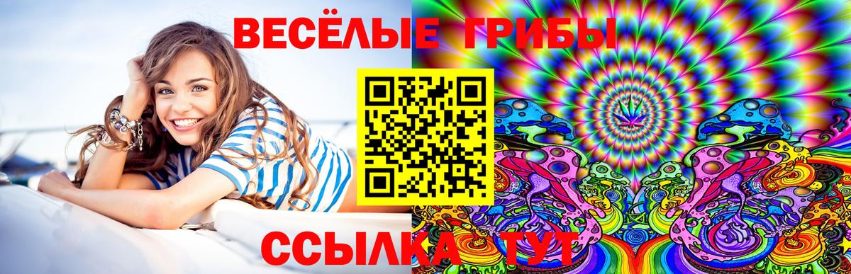 хочу   Галлюциногенные грибы прущие грибы  Вход с VPN  Луга 